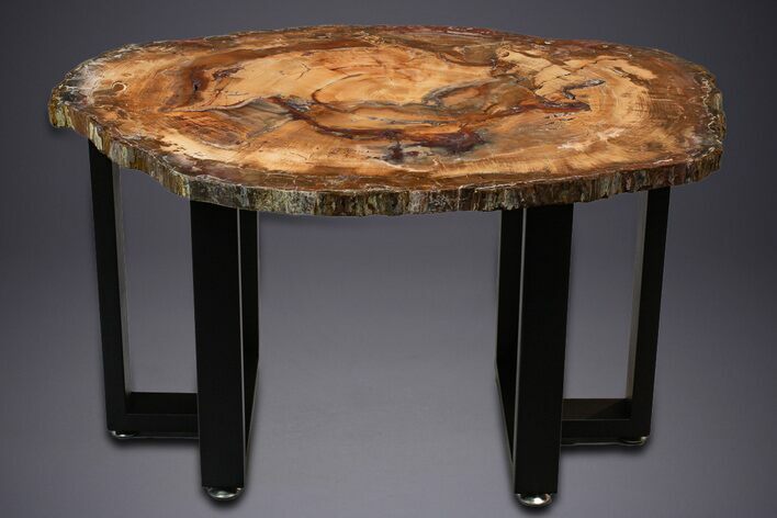 Wide Brilliant Red and Orange Petrified Wood Table #344145